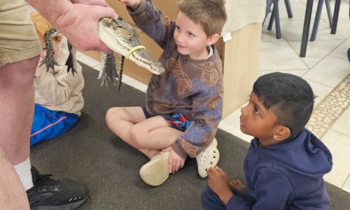 093d38b6 e36a 4c36 b1e1 0afaedf2e602