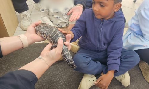 7fd2e50d 60b8 47a4 b837 633169a0c440