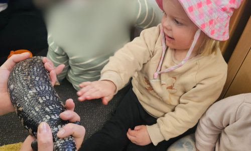 eb1fd91f 63ff 4d4c 9ac9 b9a58a628e7c